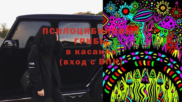ПСИЛОЦИБИНОВЫЕ ГРИБЫ Куйбышев