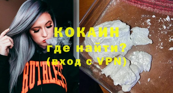 сатива Кулебаки