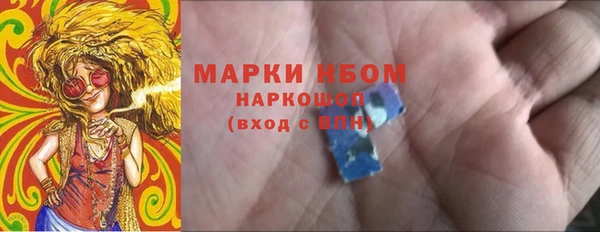 сатива Кулебаки