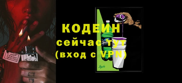 сатива Кулебаки