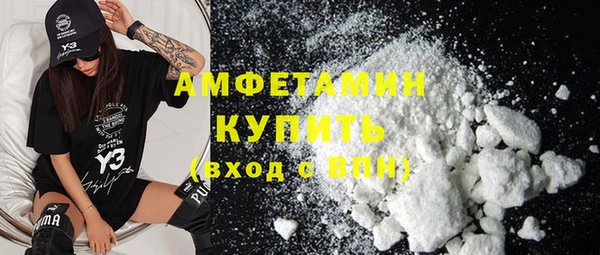 сатива Кулебаки