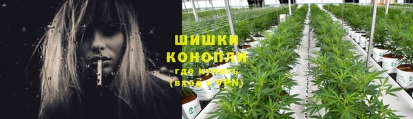 ПСИЛОЦИБИНОВЫЕ ГРИБЫ Куйбышев