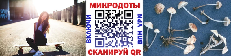 купить наркотик  Городище  Галлюциногенные грибы ЛСД 